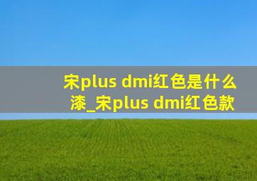 宋plus dmi红色是什么漆_宋plus dmi红色款